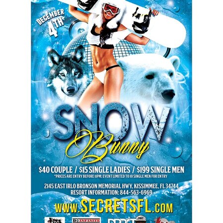 Snow Bunny