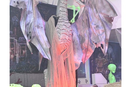 DSC_8003.jpg