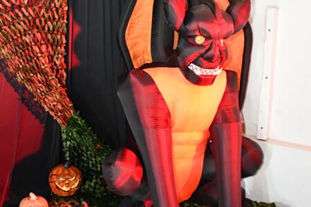 Dsc 8298