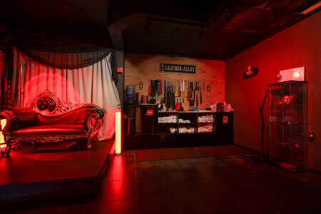 Dungeon Playroom 36