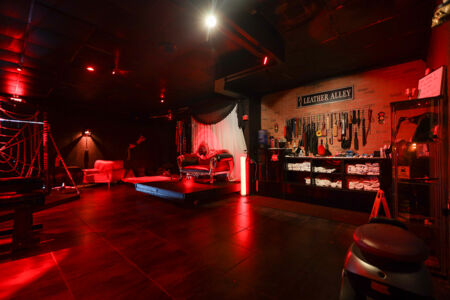 Dungeon Playroom 39